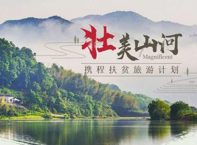 植物大战僵尸10
